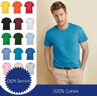 100% Cotton Breathable Promotional T Shirt Wholesale Low MOQ Custom Your Own Logo Printing or Embroidery Men&prime; S Round Neck Normal Sleeve T Shirt